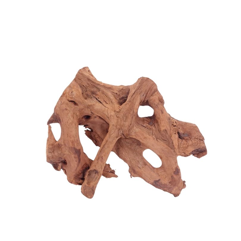L Mangrovenwurzel Nr.4372 Holz Deko Aquascaping