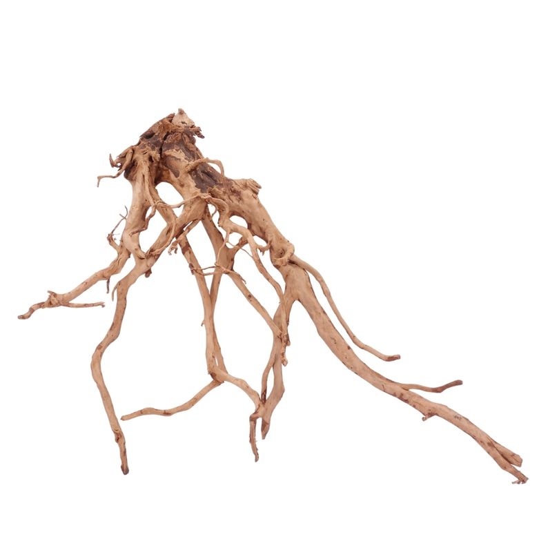 XXL Moorkienwurzel Nr.4313 Holz Deko Aquascaping