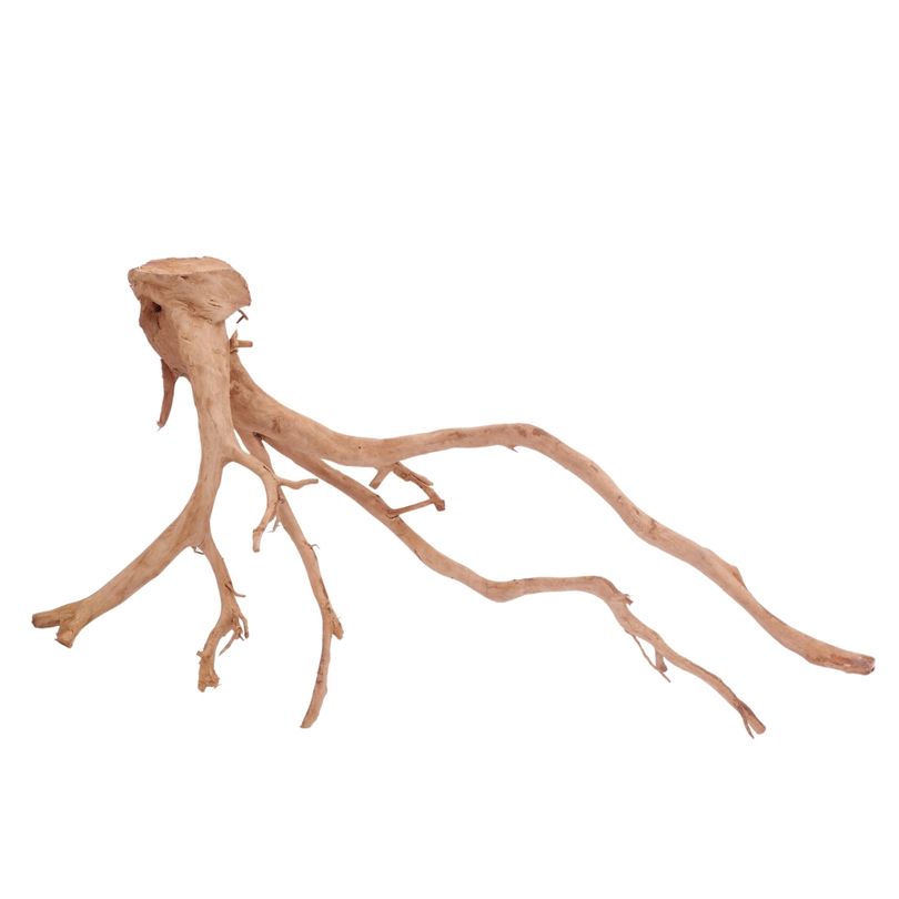 XXL Moorkienwurzel Nr.4330 Holz Deko Aquascaping