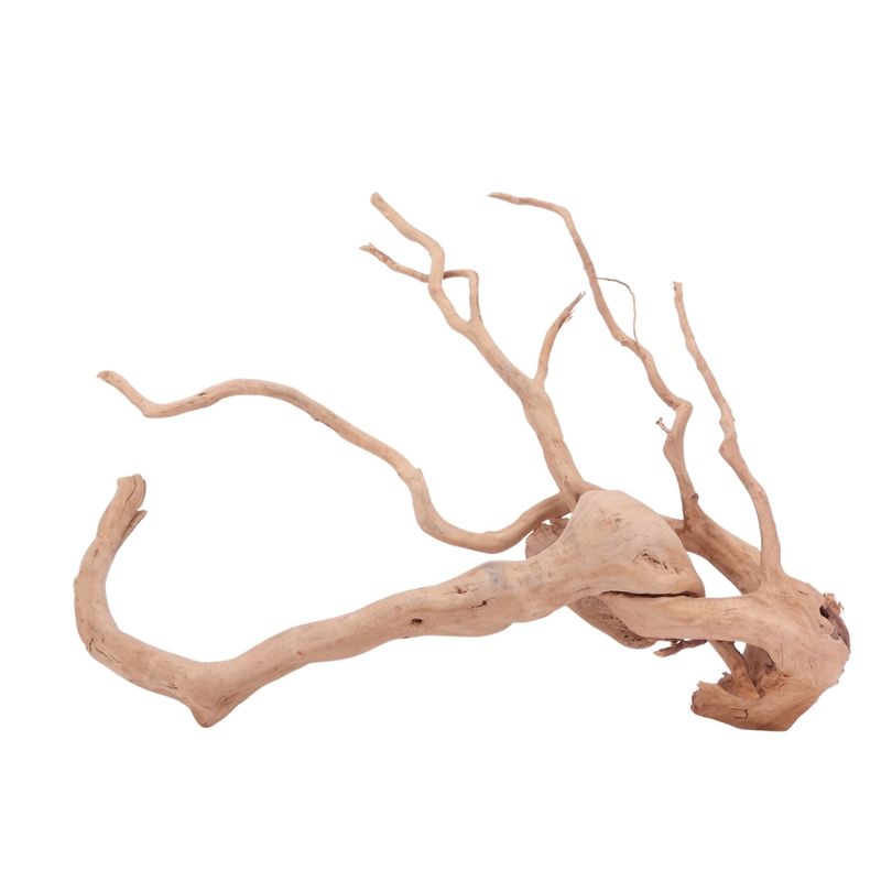 XXL Moorkienwurzel Nr.4342 Holz Deko Aquascaping