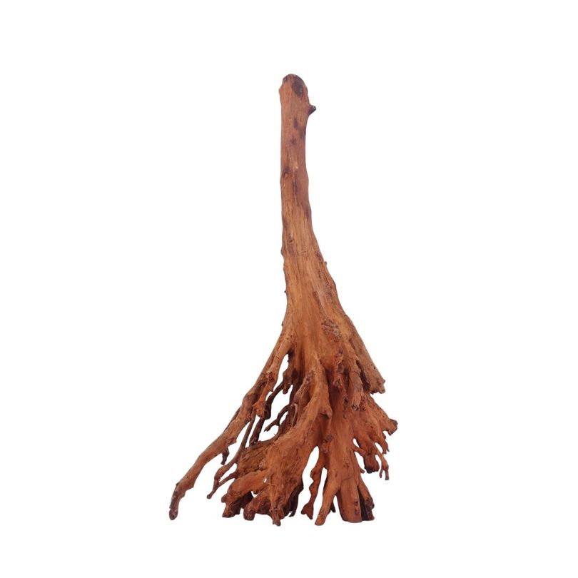 L Jungle Wood Wurzel Nr.4492 Holz Deko Aquascaping