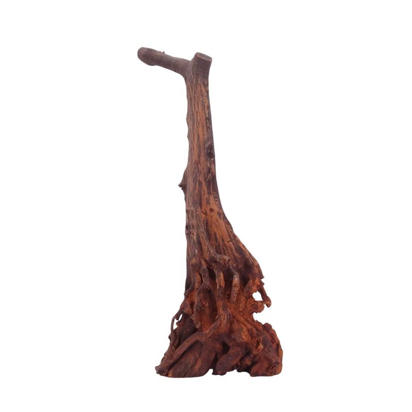 L Jungle Wood Wurzel Nr.4510 Holz Deko Aquascaping