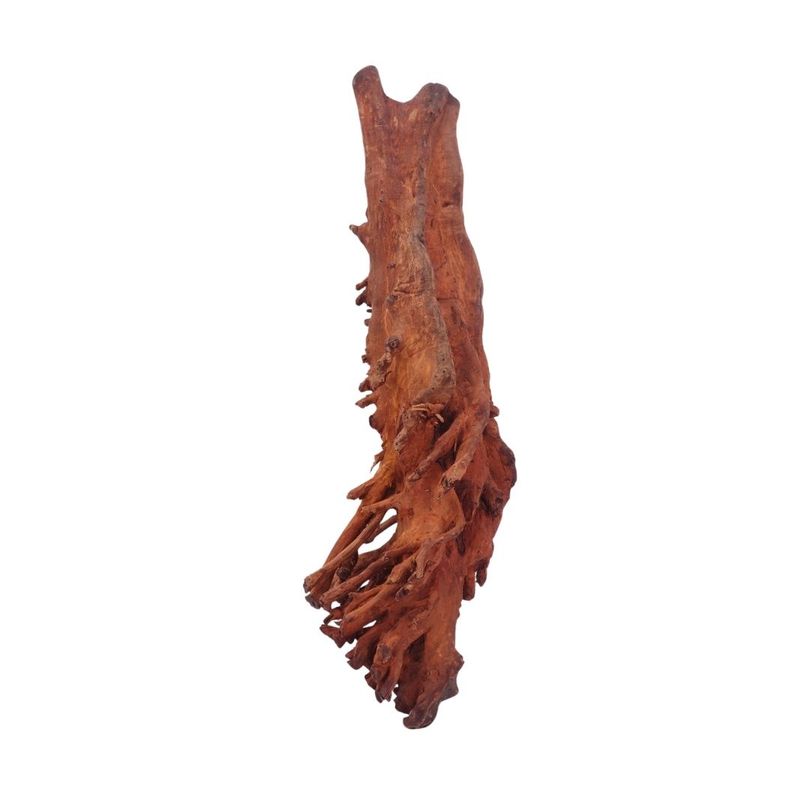 M Jungle Wood Wurzel Nr.4443 Holz Deko Aquascaping