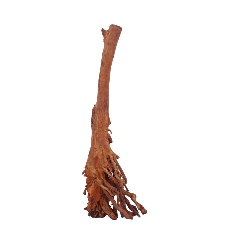 M Jungle Wood Wurzel Nr.4459 Holz Deko Aquascaping