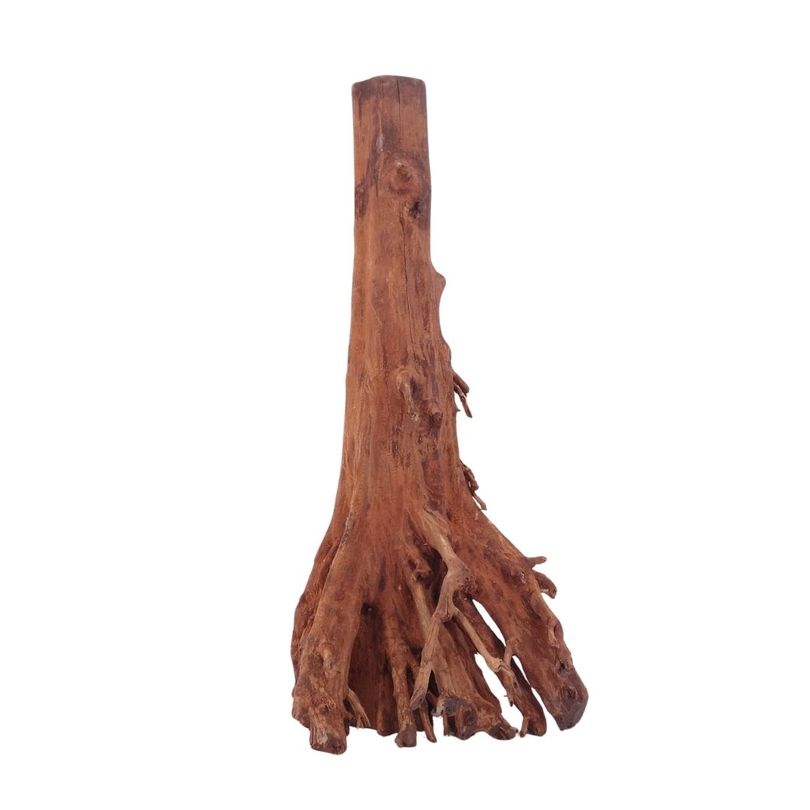 M Jungle Wood Wurzel Nr.4480 Holz Deko Aquascaping