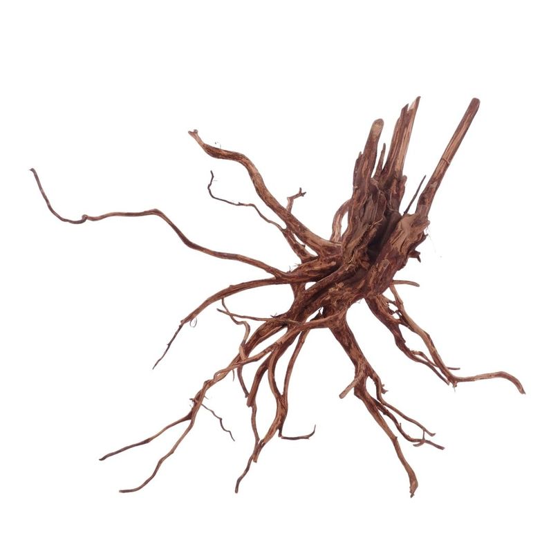 XL Red Spider Wurzel Nr.4643 Fingerwurzel Echtholz Deko Aquascaping