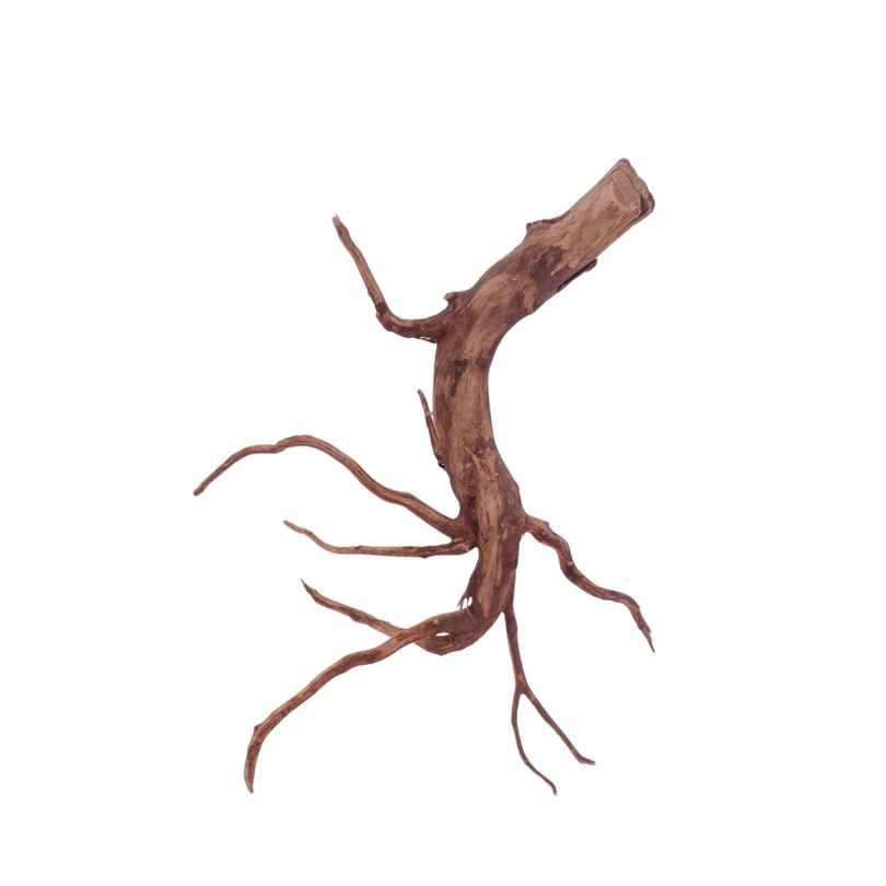 L Red Spider Wurzel Nr.4598 Fingerwurzel Echtholz Deko Aquascaping