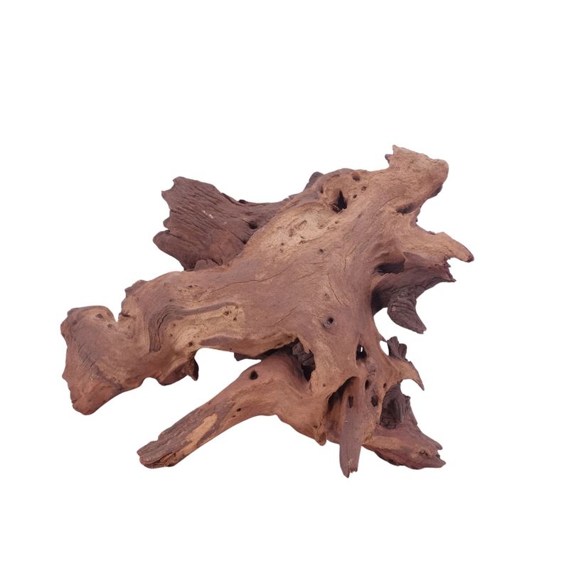 XL Mopani Wurzel Nr.4657 Holz Deko Aquascaping