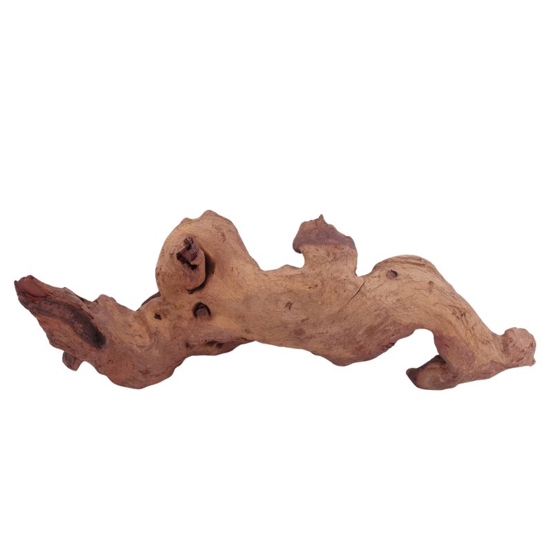 XL Mopani Wurzel Nr.4662 Holz Deko Aquascaping