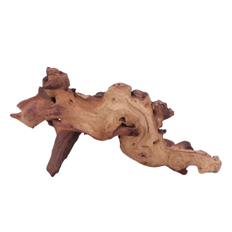 XL Mopani Wurzel Nr.4664 Holz Deko Aquascaping