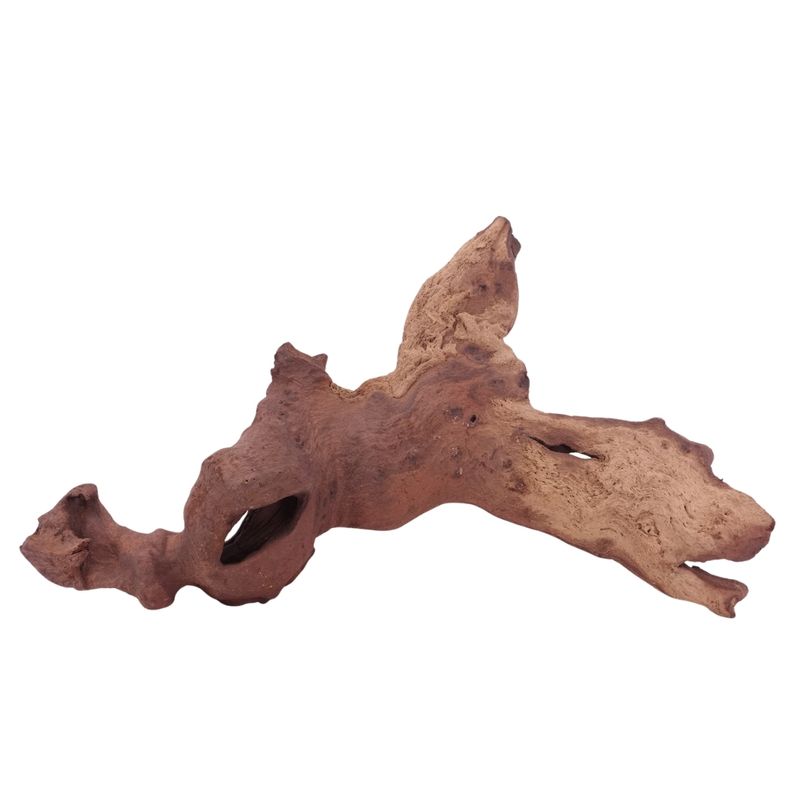 XL Mopani Wurzel Nr.4665 Holz Deko Aquascaping
