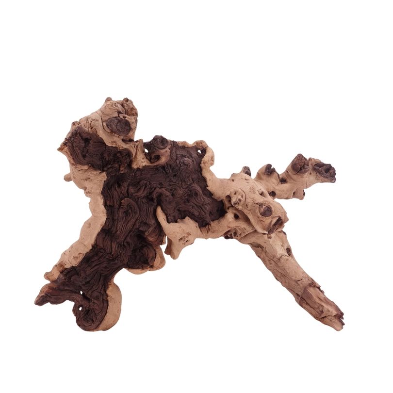 XL Mopani Wurzel Nr.4667 Holz Deko Aquascaping