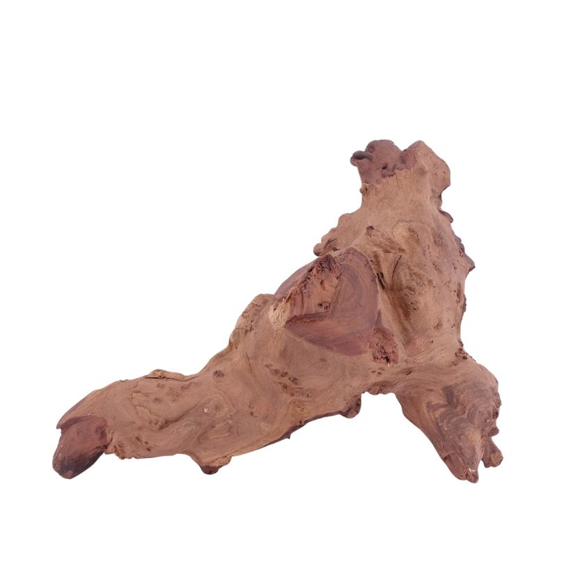 XL Mopani Wurzel Nr.4670 Holz Deko Aquascaping
