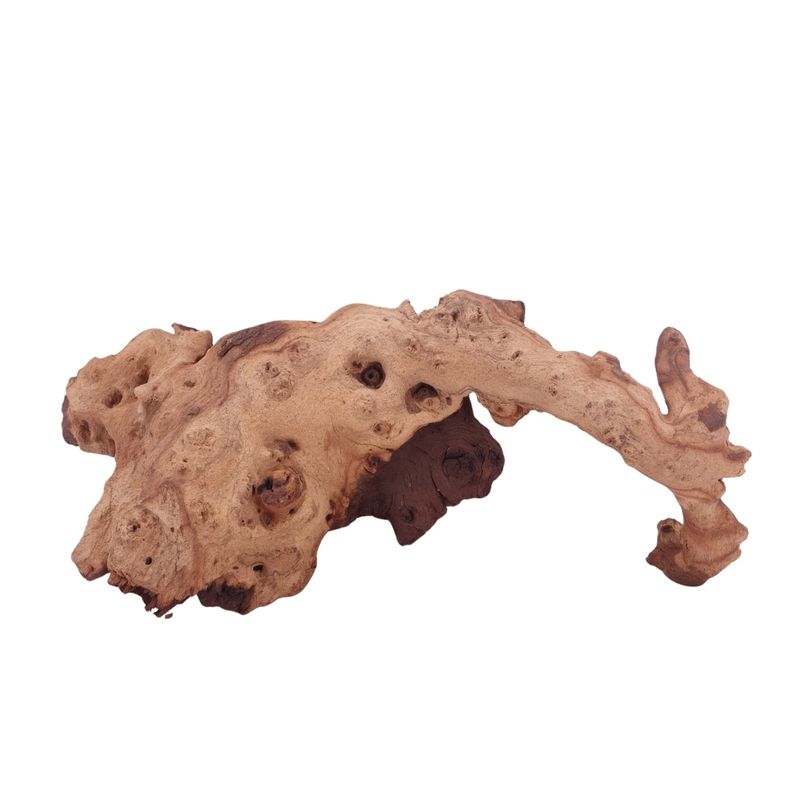 XL Mopani Wurzel Nr.4672 Holz Deko Aquascaping