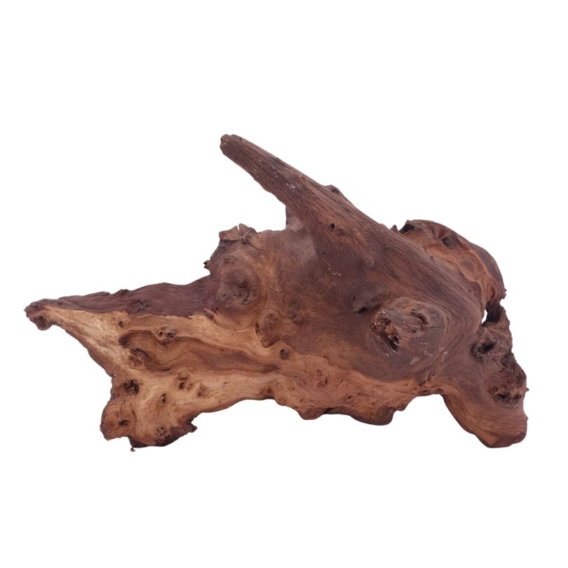 XL Mopani Wurzel Nr.4673 Holz Deko Aquascaping
