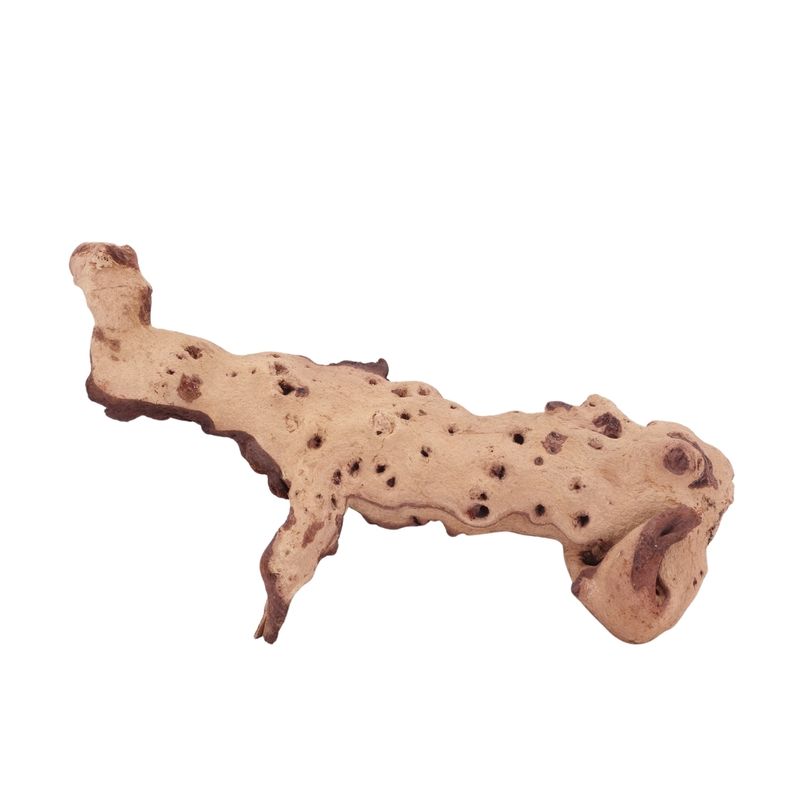 XL Mopani Wurzel Nr.4674 Holz Deko Aquascaping