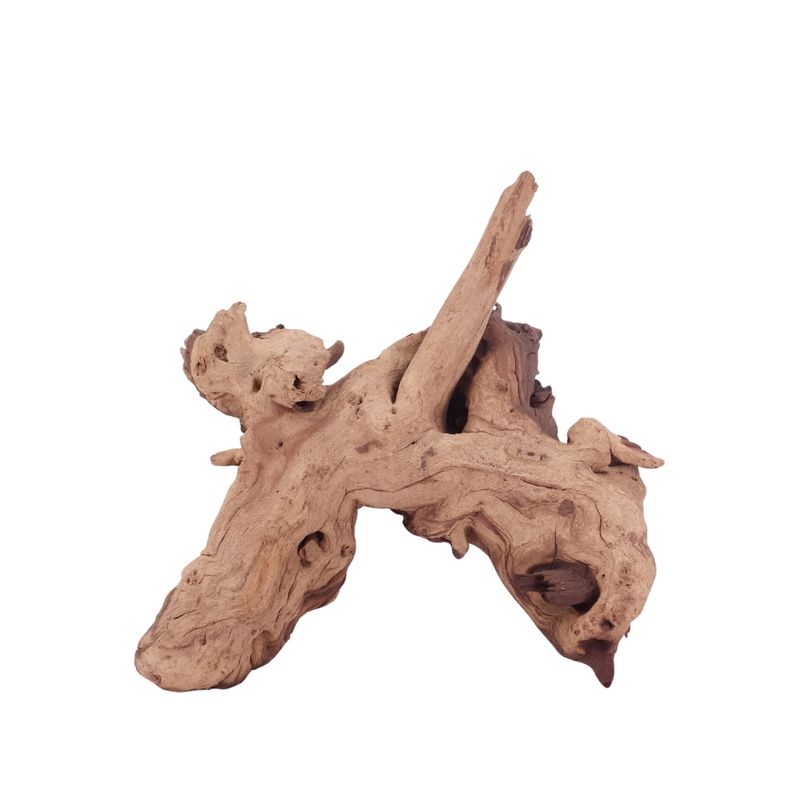 XL Mopani Wurzel Nr.4678 Holz Deko Aquascaping