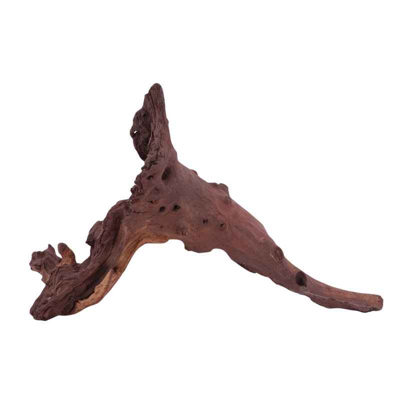 XL Mopani Wurzel Nr.4682 Holz Deko Aquascaping
