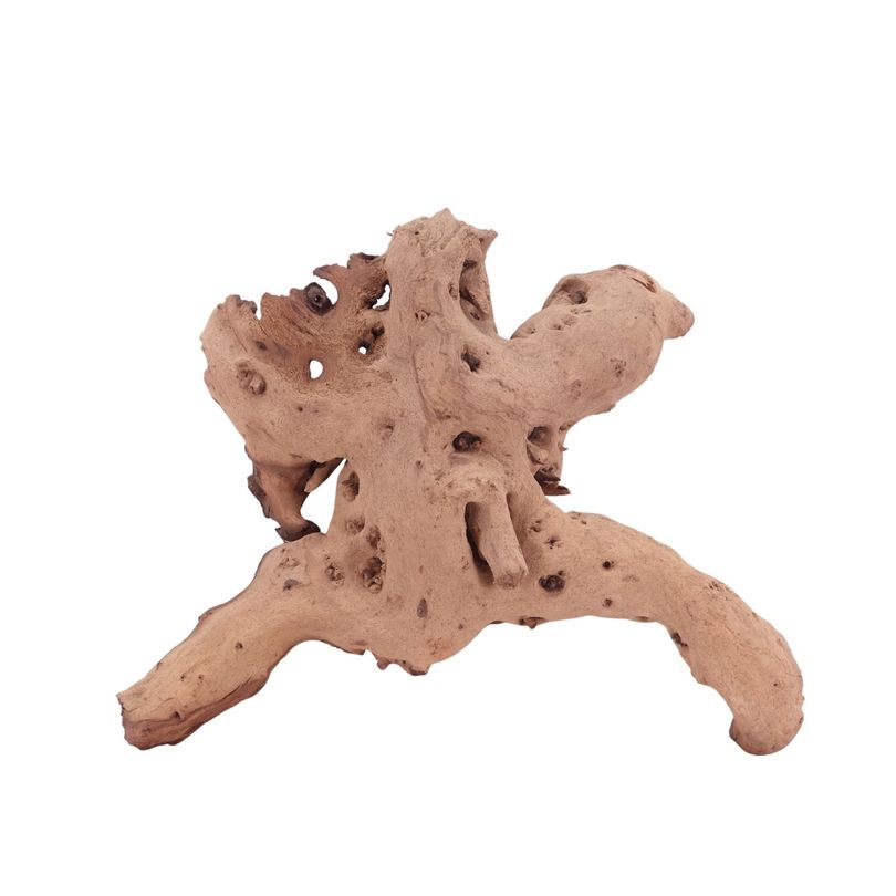 XL Mopani Wurzel Nr.4685 Holz Deko Aquascaping