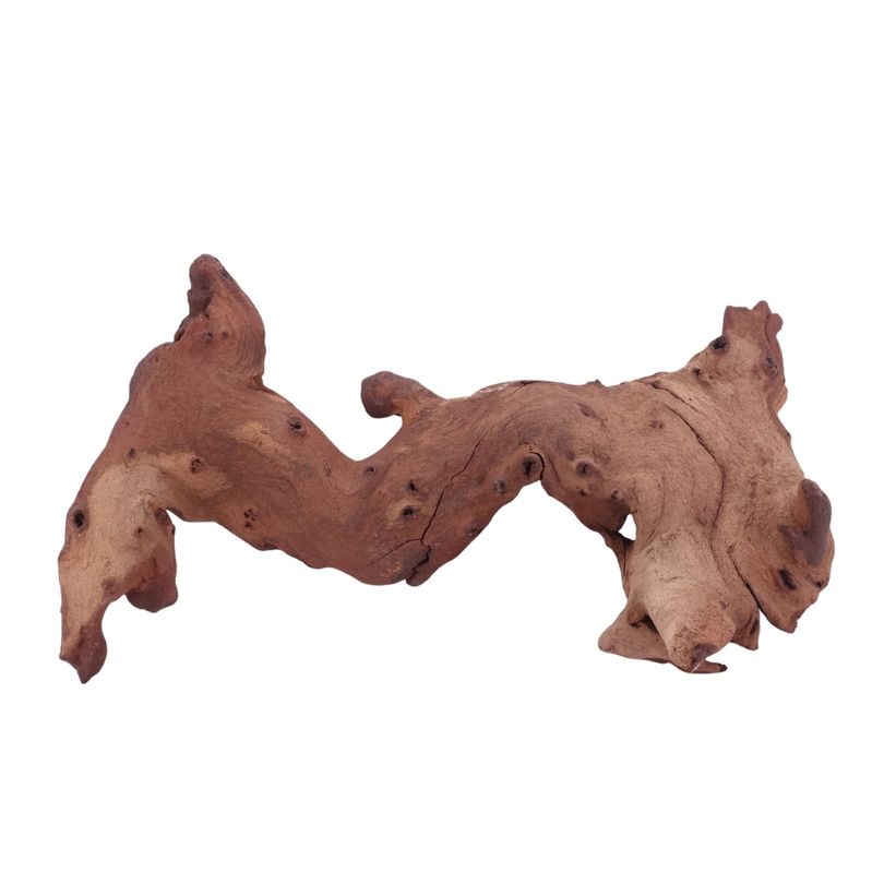 XL Mopani Wurzel Nr.4689 Holz Deko Aquascaping