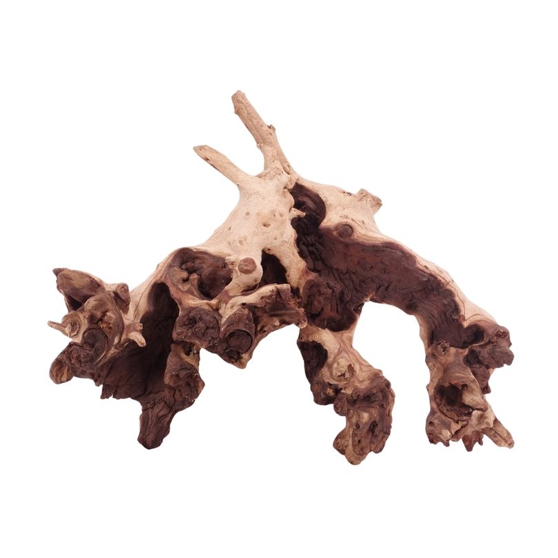 XL Mopani Wurzel Nr.4691 Holz Deko Aquascaping