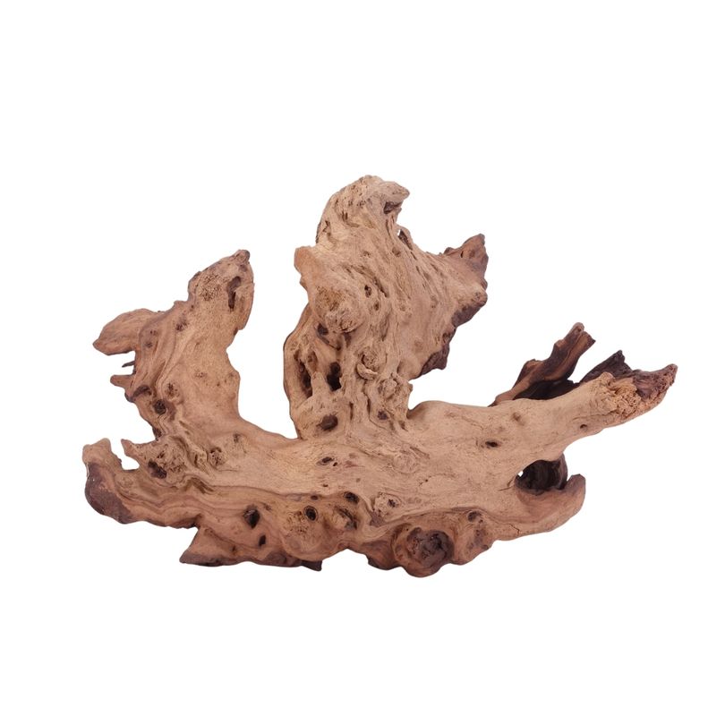 XL Mopani Wurzel Nr.4692 Holz Deko Aquascaping