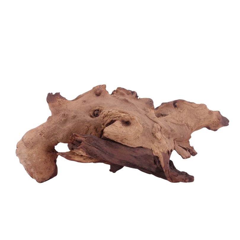 XL Mopani Wurzel Nr.4694 Holz Deko Aquascaping