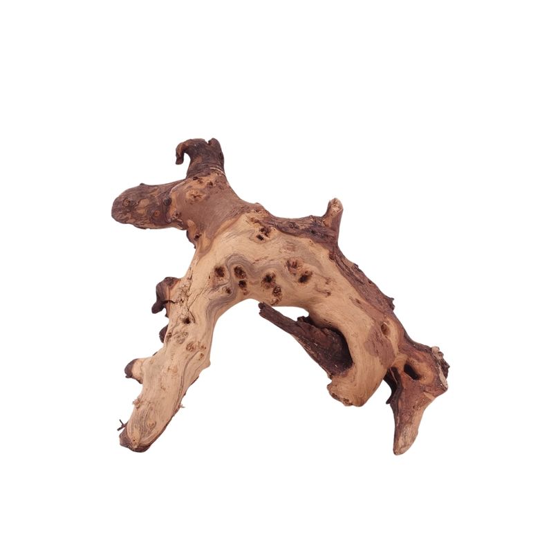 L Mopani Wurzel Nr.4696 Holz Deko Aquascaping