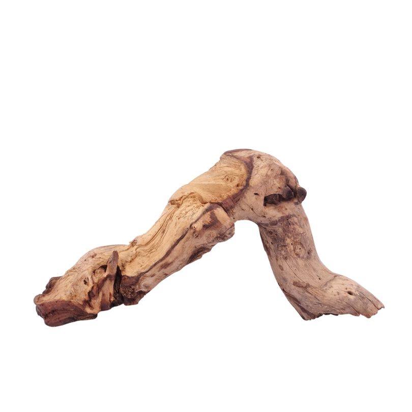 L Mopani Wurzel Nr.4697 Holz Deko Aquascaping