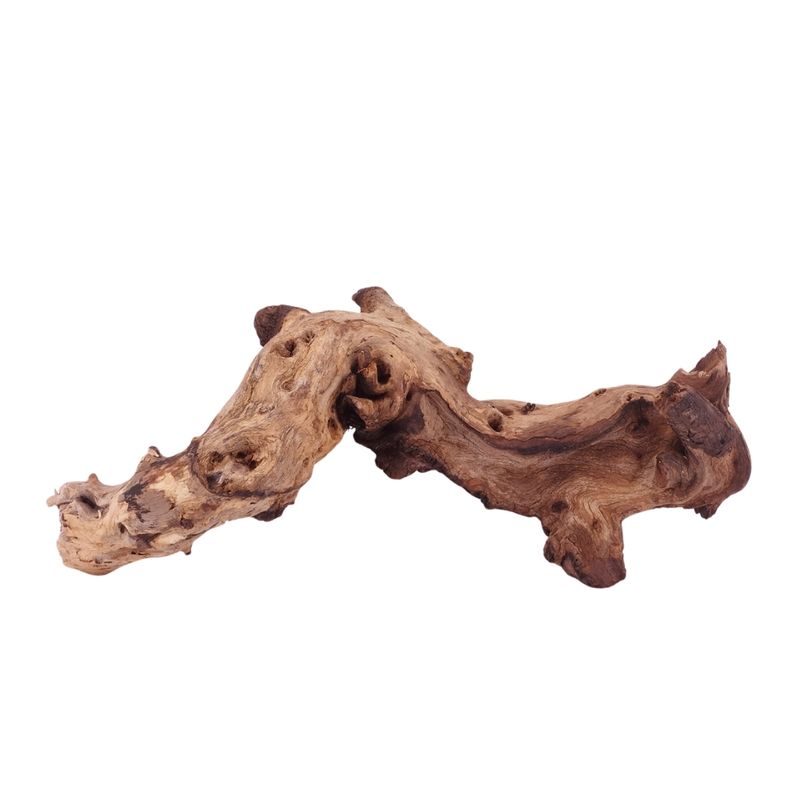 L Mopani Wurzel Nr.4698 Holz Deko Aquascaping