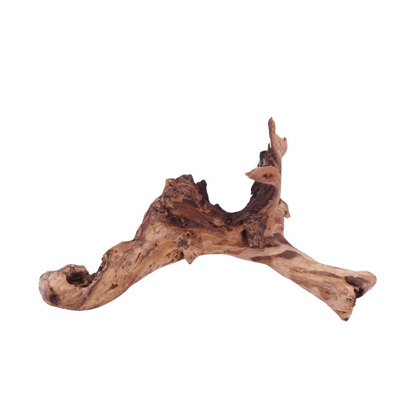 L Mopani Wurzel Nr.4703 Holz Deko Aquascaping