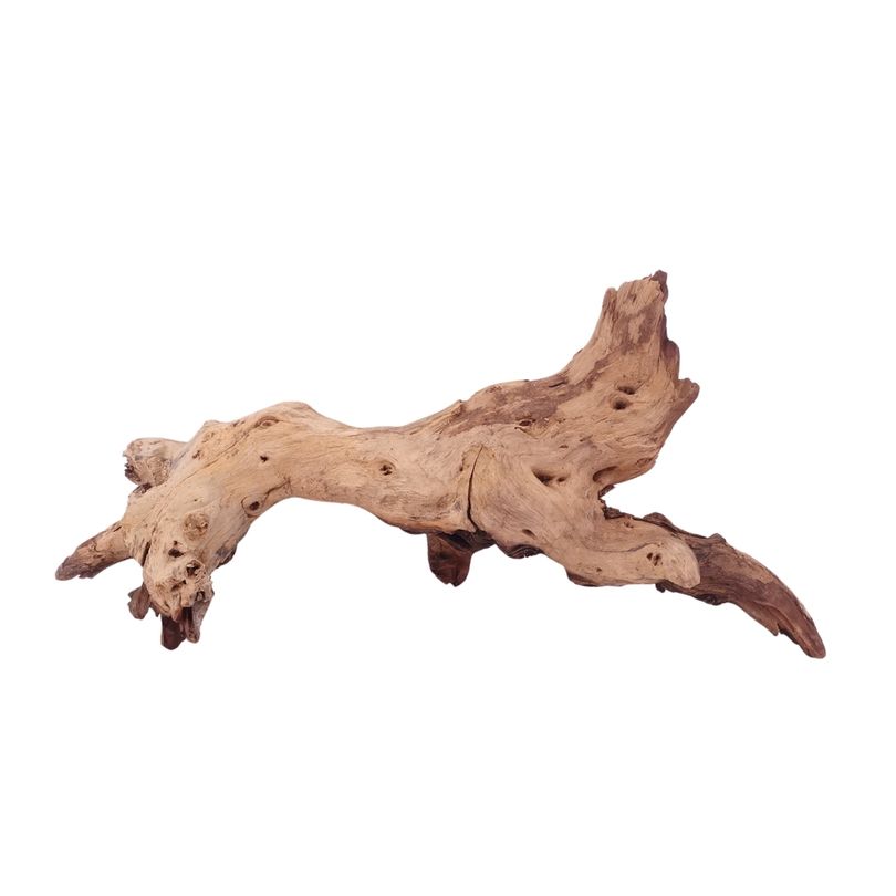 L Mopani Wurzel Nr.4704 Holz Deko Aquascaping