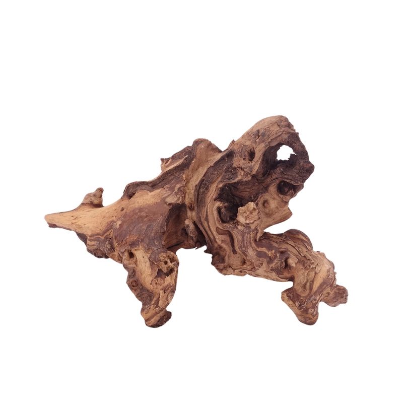 L Mopani Wurzel Nr.4708 Holz Deko Aquascaping
