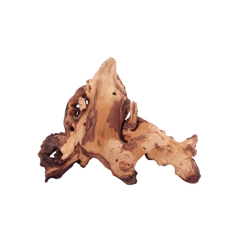 L Mopani Wurzel Nr.4710 Holz Deko Aquascaping