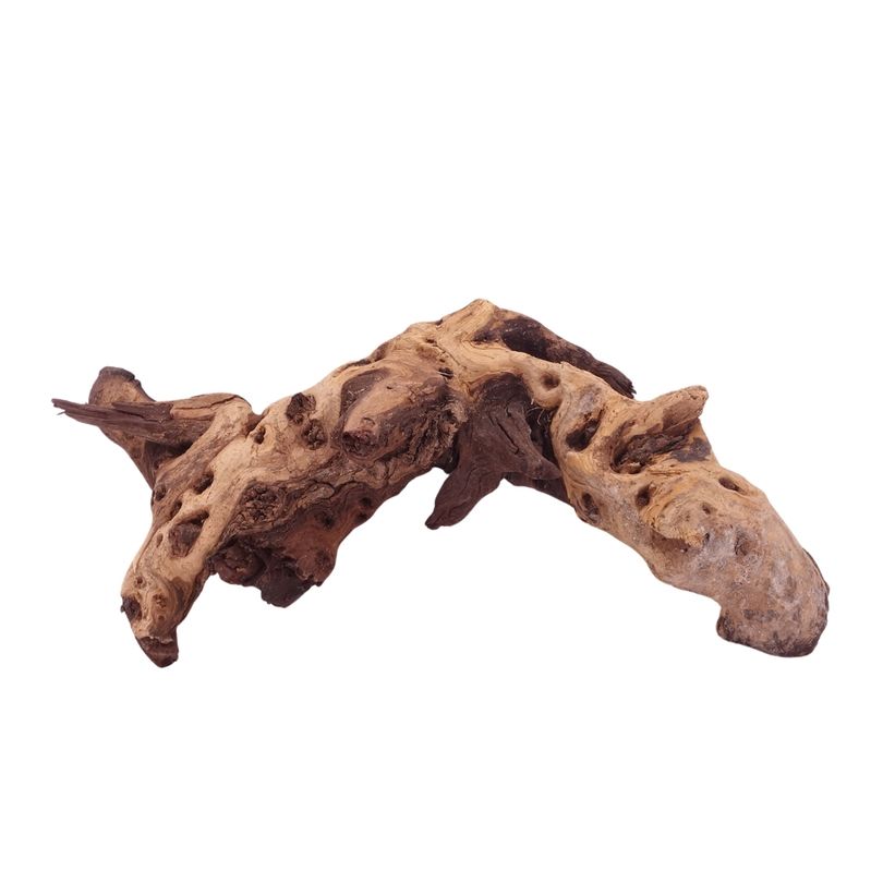 L Mopani Wurzel Nr.4711 Holz Deko Aquascaping