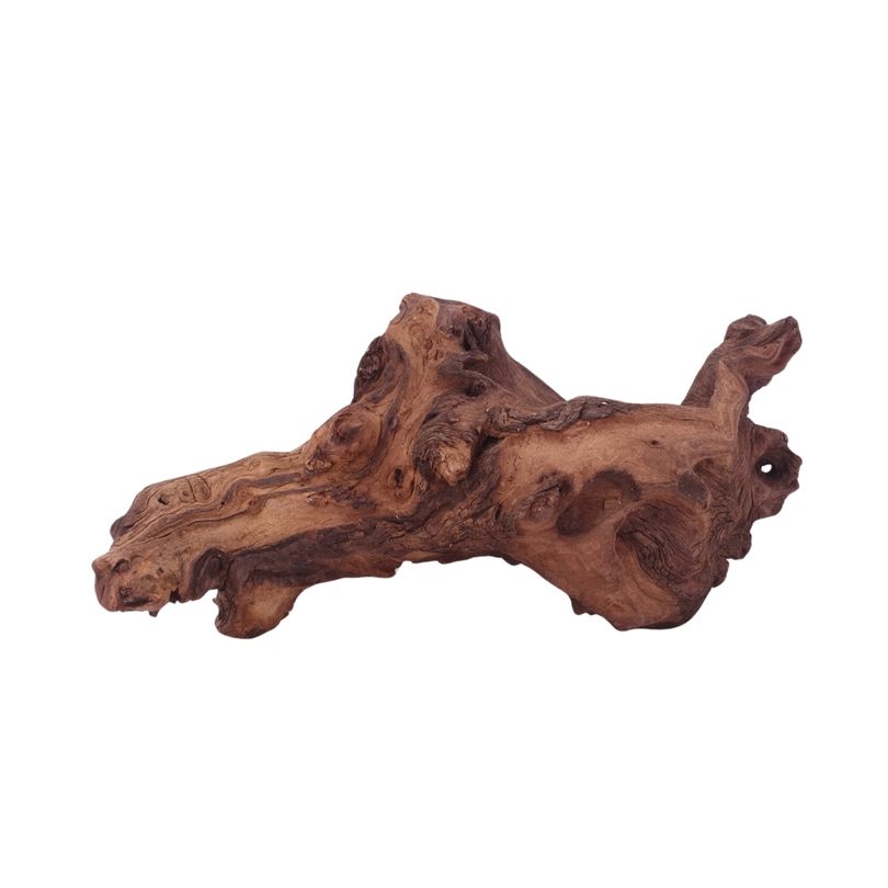 L Mopani Wurzel Nr.4714 Holz Deko Aquascaping
