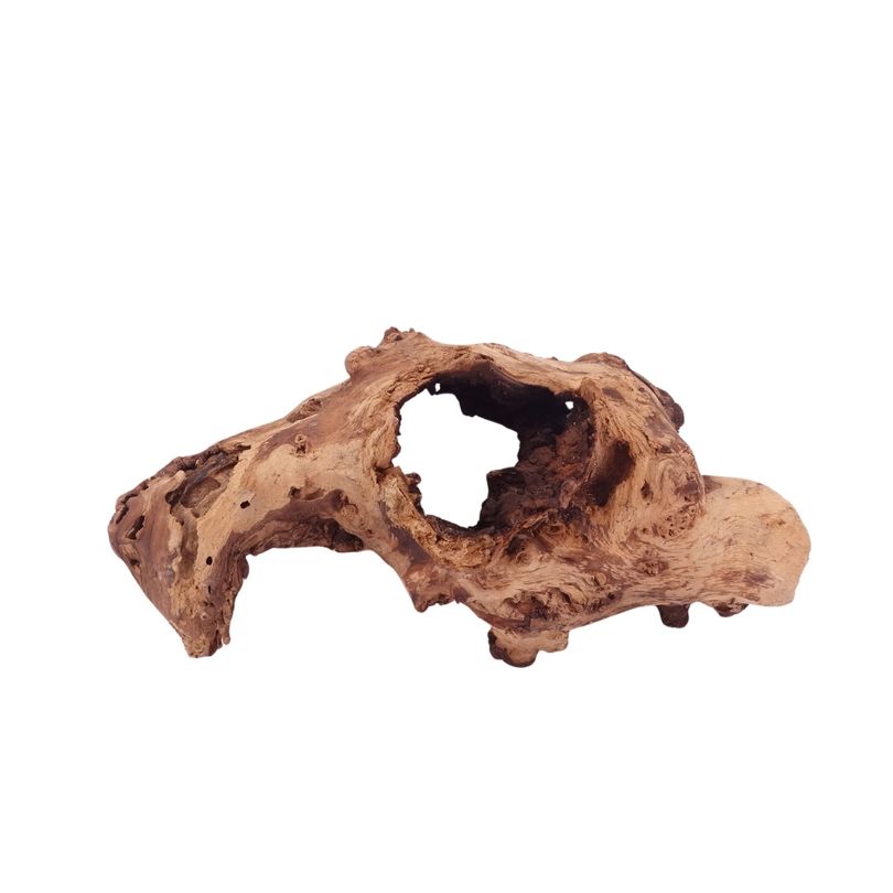 L Mopani Wurzel Nr.4716 Holz Deko Aquascaping