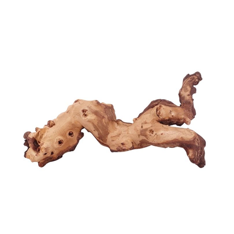 L Mopani Wurzel Nr.4718 Holz Deko Aquascaping