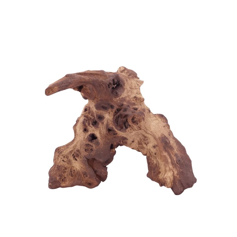 L Mopani Wurzel Nr.4719 Holz Deko Aquascaping