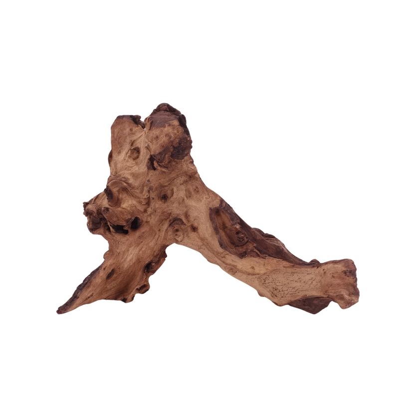 L Mopani Wurzel Nr.4720 Holz Deko Aquascaping