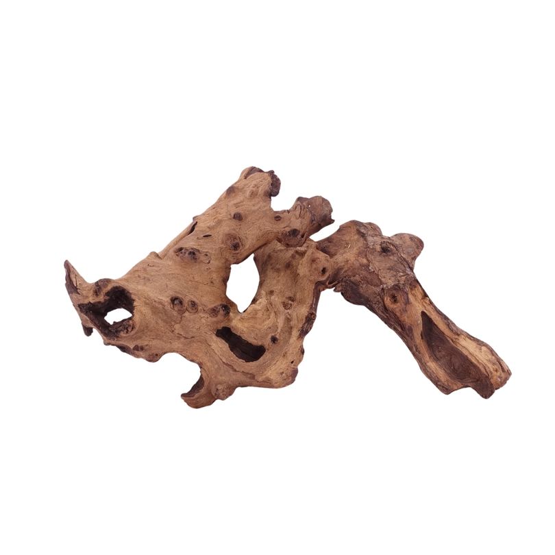 L Mopani Wurzel Nr.4724 Holz Deko Aquascaping