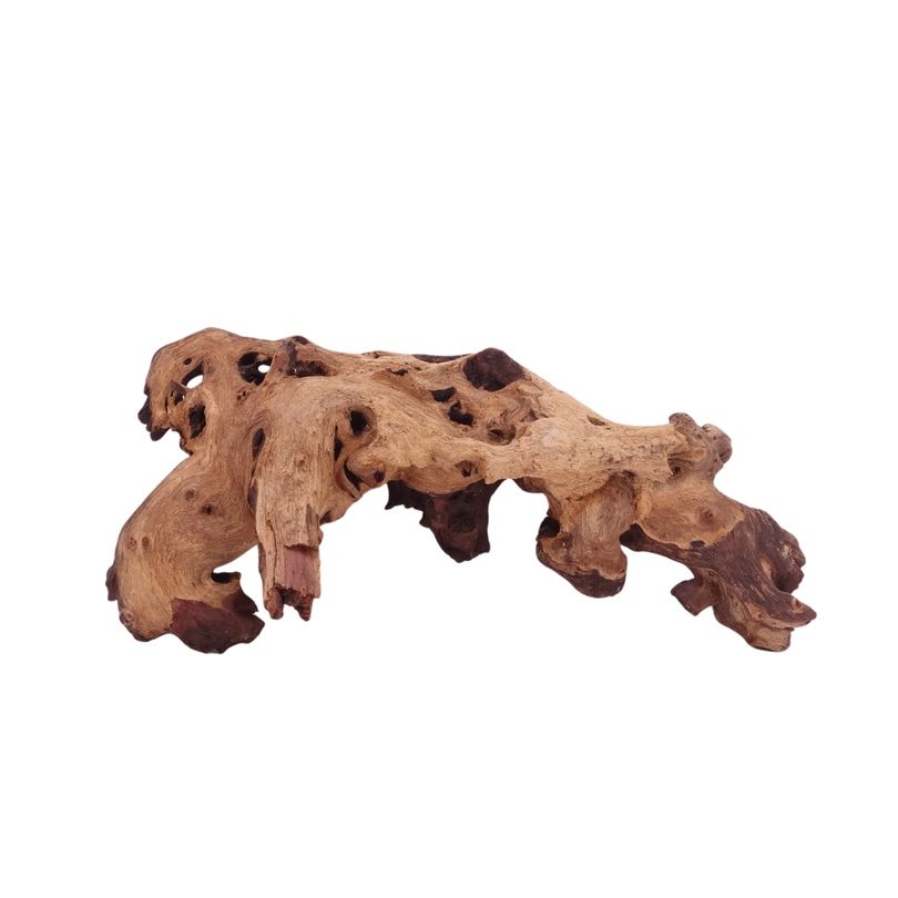 L Mopani Wurzel Nr.4728 Holz Deko Aquascaping