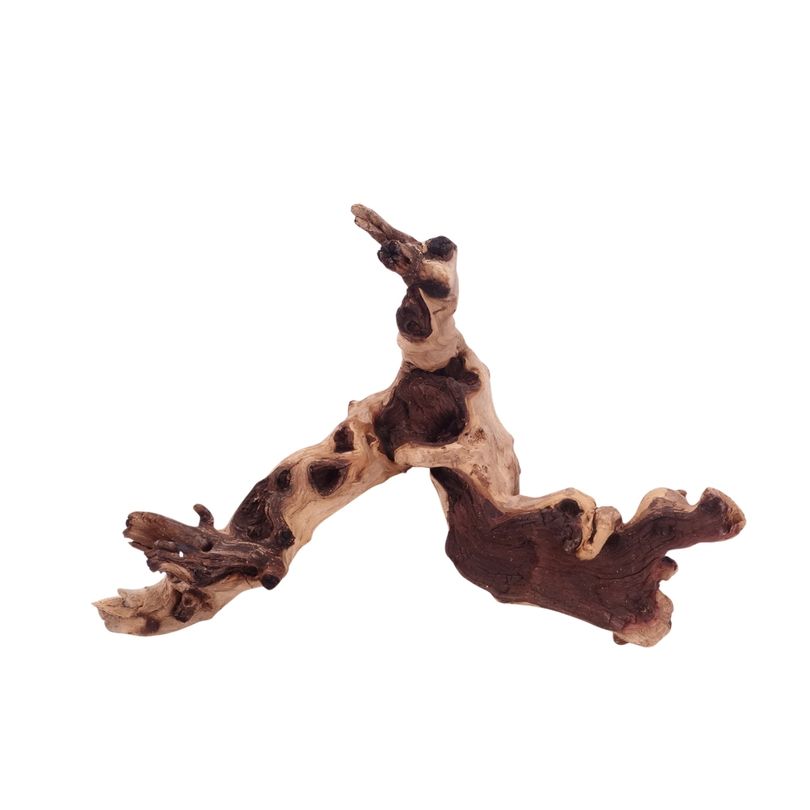 L Mopani Wurzel Nr.4729 Holz Deko Aquascaping