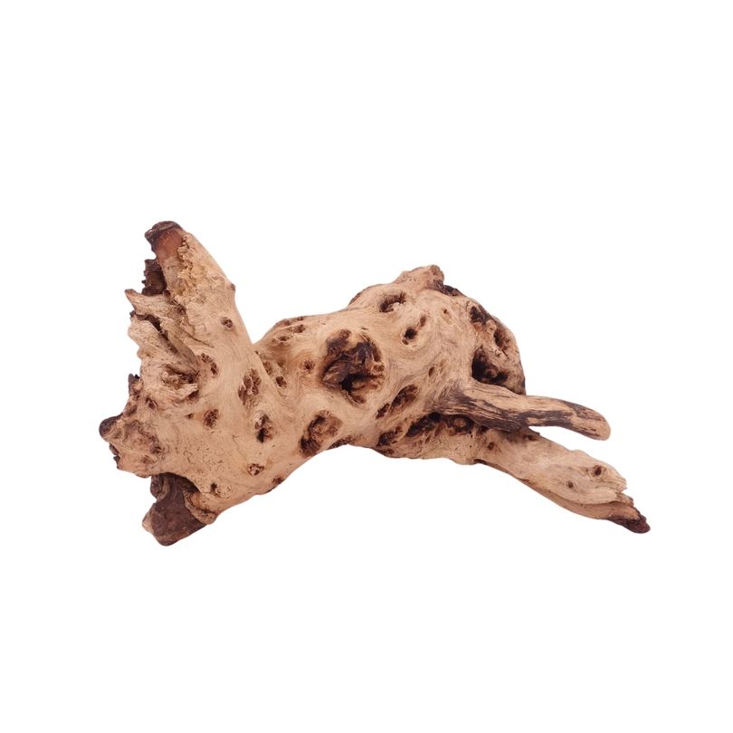 L Mopani Wurzel Nr.4731 Holz Deko Aquascaping