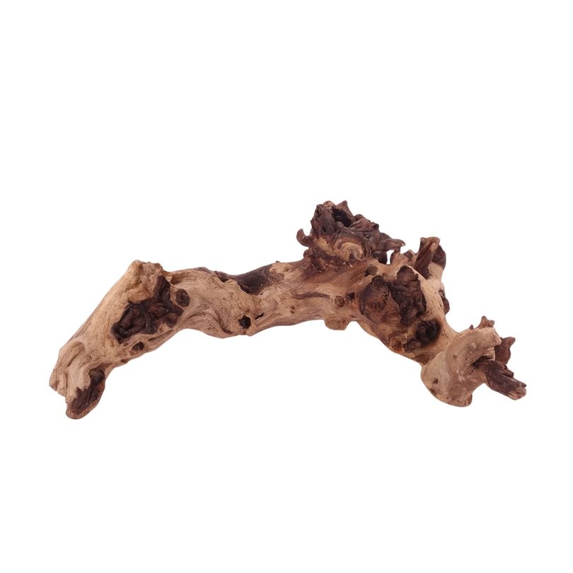 L Mopani Wurzel Nr.4732 Holz Deko Aquascaping