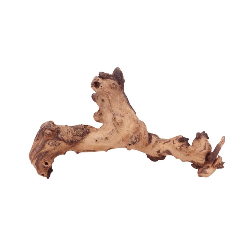 L Mopani Wurzel Nr.4733 Holz Deko Aquascaping