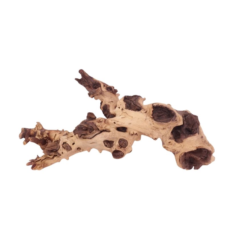 L Mopani Wurzel Nr.4741 Holz Deko Aquascaping