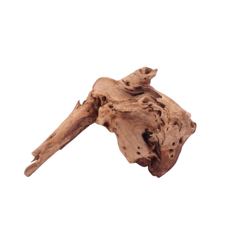 L Mopani Wurzel Nr.4744 Holz Deko Aquascaping