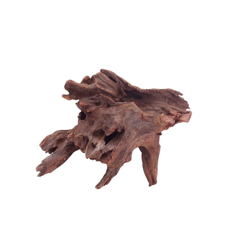 M Driftwood Flußwurzel Nr.4806 Holz Deko Aquascaping