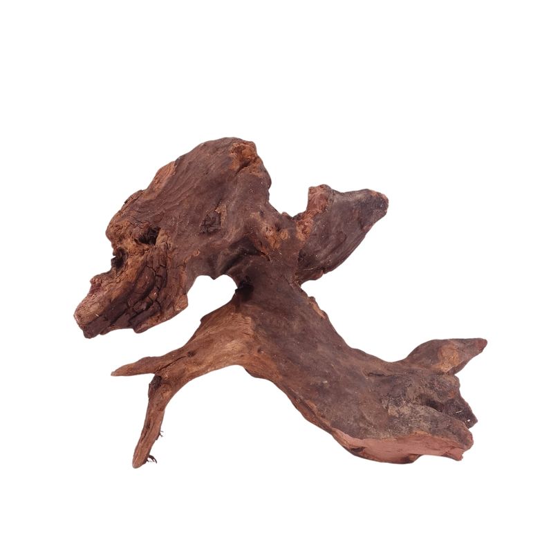 M Driftwood Flußwurzel Nr.4813 Holz Deko Aquascaping